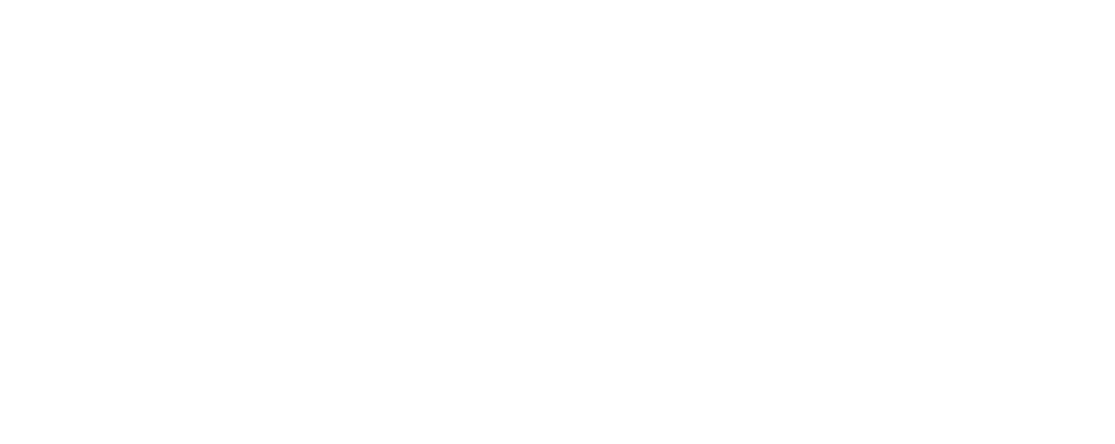Pol-Skone Logo
